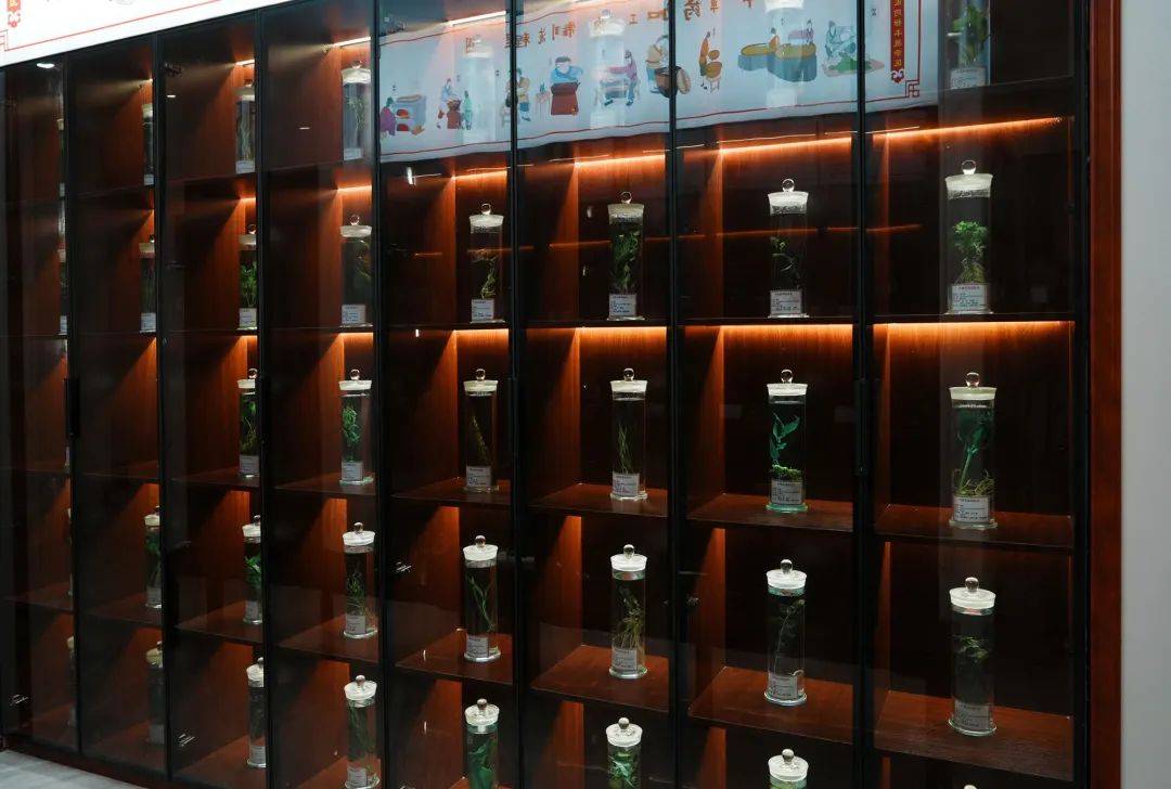 中医药健康文化知识角建设总结_医药文化节标语_医药文化的宣传画