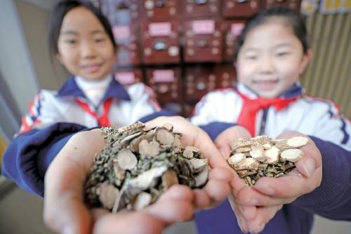 医药文化手抄报小学_中医药走进校园手抄报_中医药文化进校园手抄报