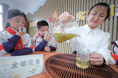 中医药走进校园手抄报_医药文化手抄报小学_中医药文化进校园手抄报