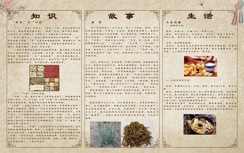 中国的医药文化_中医药历史与文化_医药历史文化中的人物