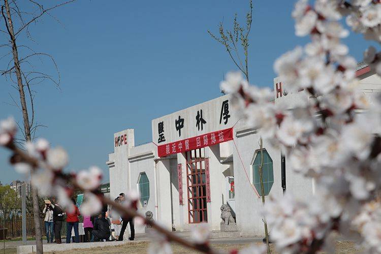 哪里学中医_中医学专业大学排名_中医学专业主要学什么