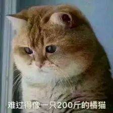 得了子宫肌腺症中医能治吗_中医治疗子宫腺肌症_中医治疗子宫肌腺症好吗