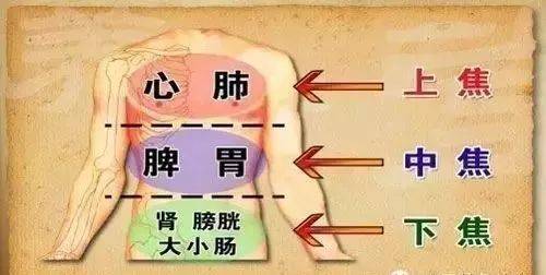 中医何为中焦_中医中焦不通的症状_中医中焦