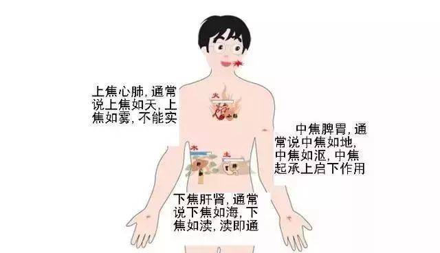 中医中焦不通的症状_中医中焦_中医何为中焦