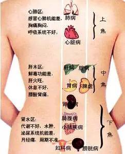 中医中焦_中医何为中焦_中医中焦不通的症状