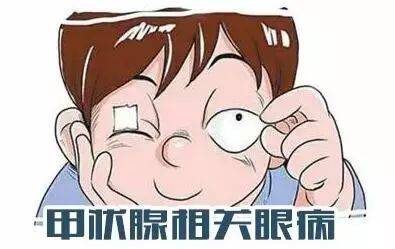 甲亢症状突眼的中医治疗_甲亢眼突中医_中医症状治疗甲亢突眼的药