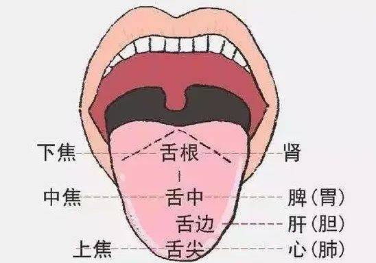 中医看舌头吗_中医看舌头能看出什么症状?_舌头中医看出能症状看什么科室