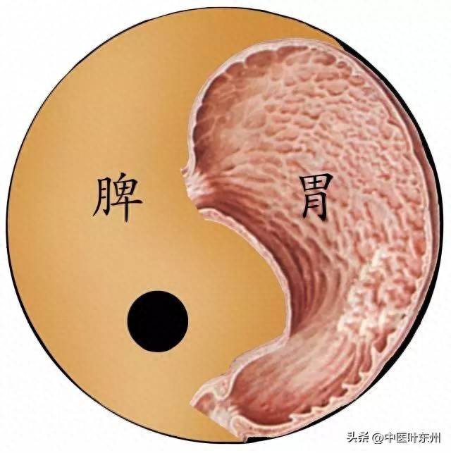 中医胃热是什么症状_中医症状胃热是什么意思_中医症状胃热是什么原因
