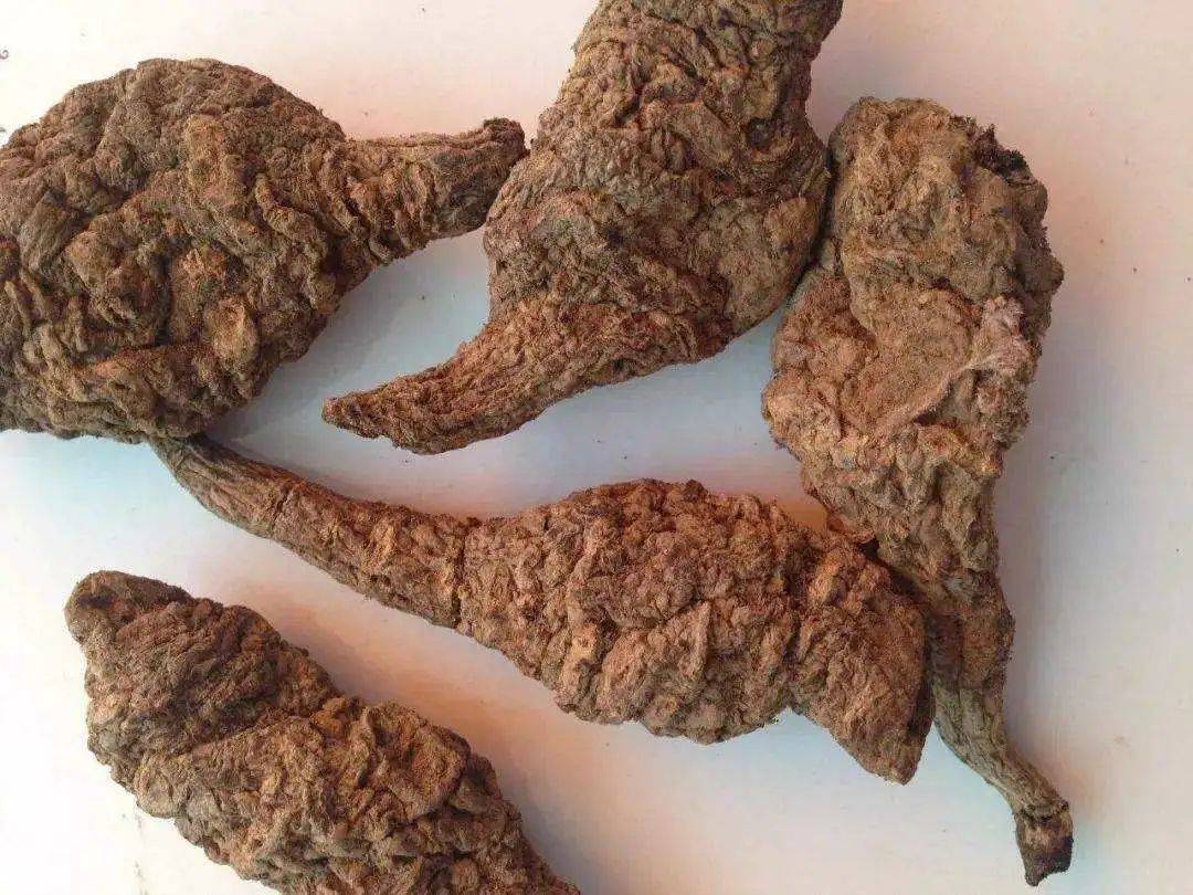 中医症状治疗甲亢突眼的药_甲亢症状突眼的中医治疗_中医症状治疗甲亢突眼怎么治疗