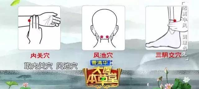与中医疗法针灸无关的是什么针_中医针灸之术_针灸无关的是