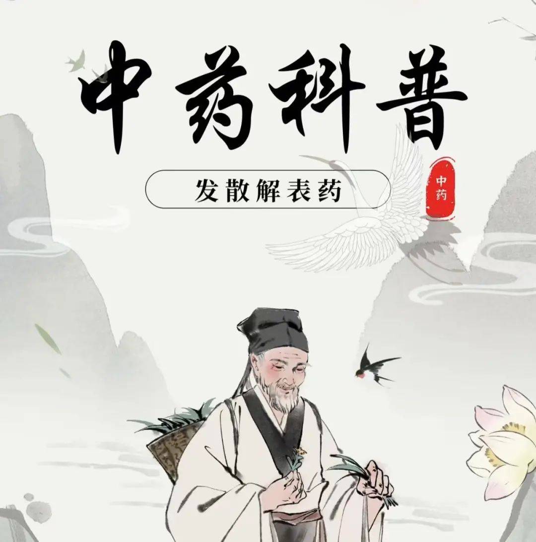 咳嗽中医验方_咳嗽中医治经典方剂是什么_中医治咳嗽经典方剂