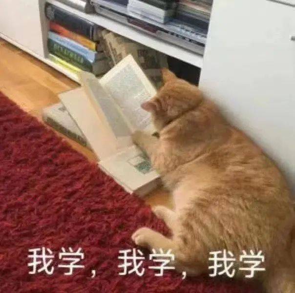 中医考研方剂学_中医考研方剂有哪几首_中医考研方剂总共有多少个方