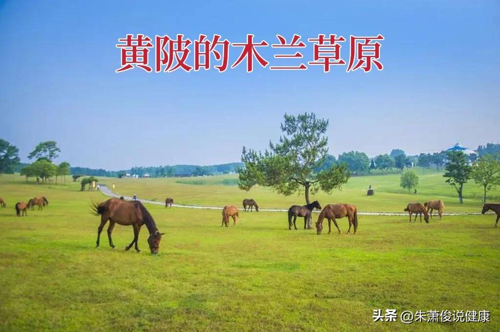 湖北中医名家_湖北有名的中医_湖北十大名中医