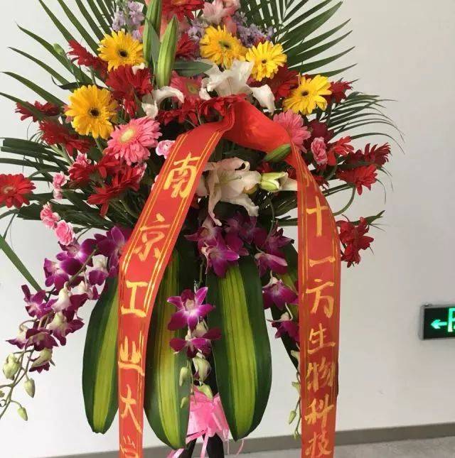 苏州中医名医馆_苏州有名的中医_苏州有名气的中医