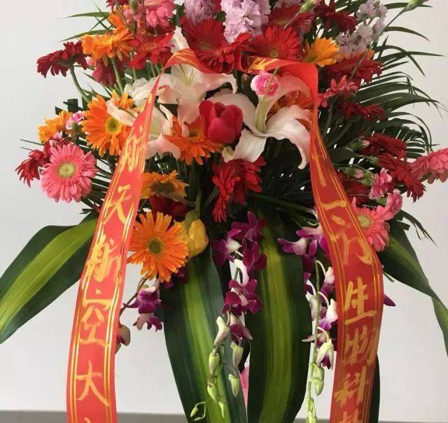 苏州中医名医馆_苏州有名的中医_苏州有名气的中医