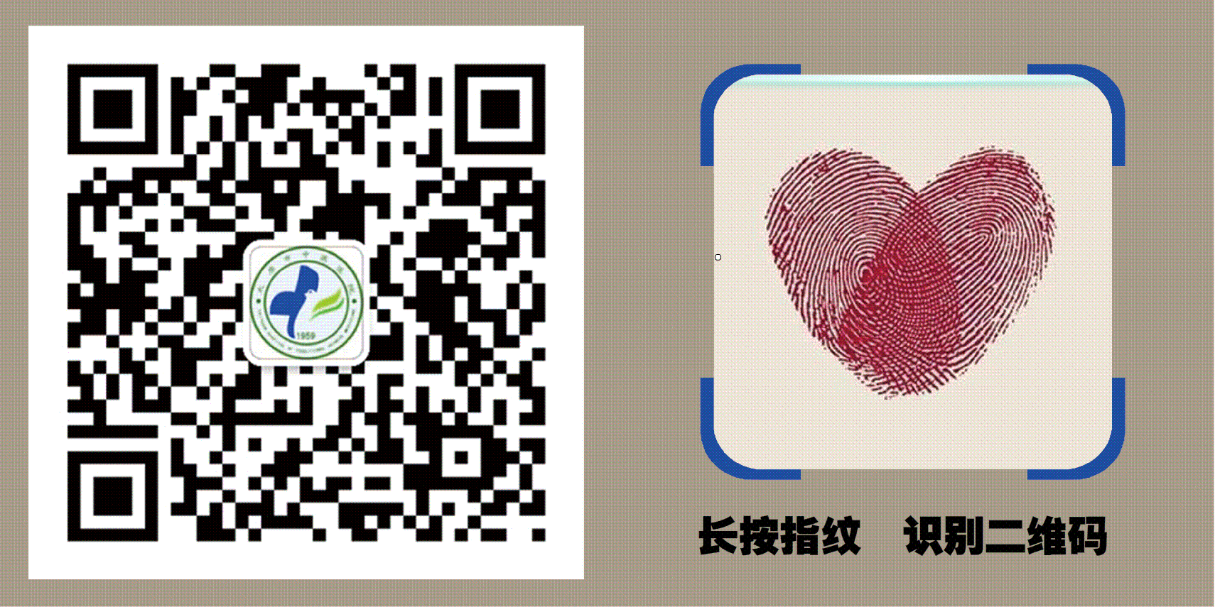 上海医院中医排名前十名_上海的名中医_上海有名的中医医院
