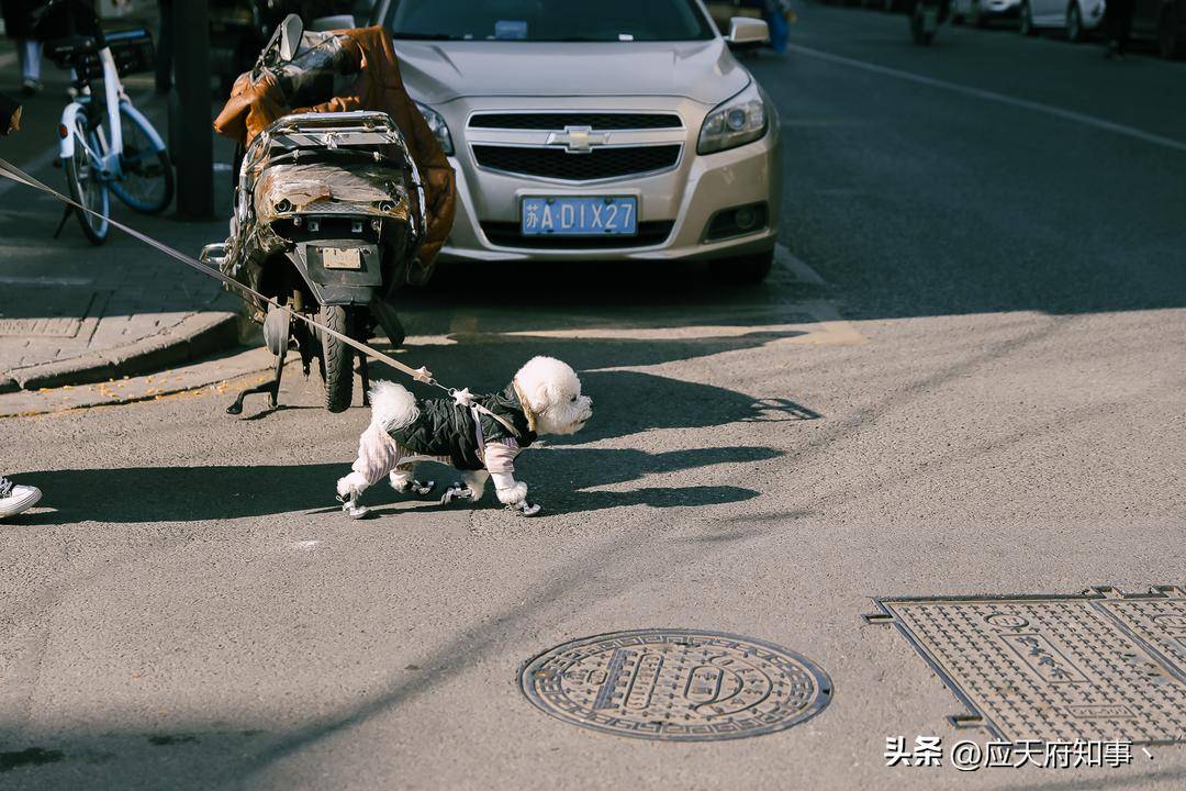 南京最有名的中医院_南京医院中医排行_南京厉害的中医院
