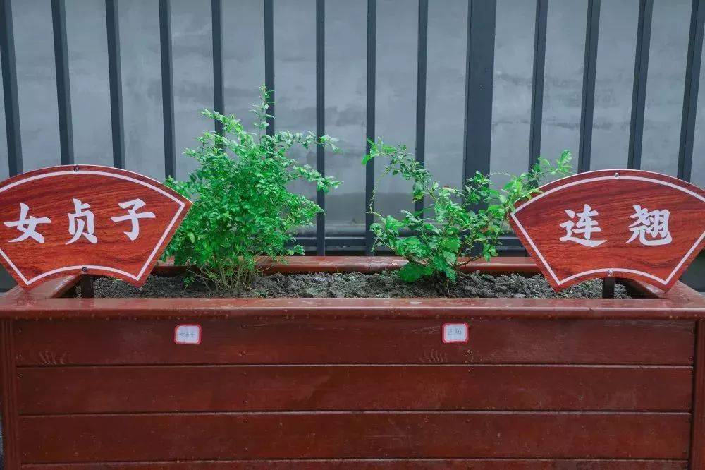 盐城中医院有名老中医_盐城有哪些老中医在医院坐诊_盐城最好的中医医生