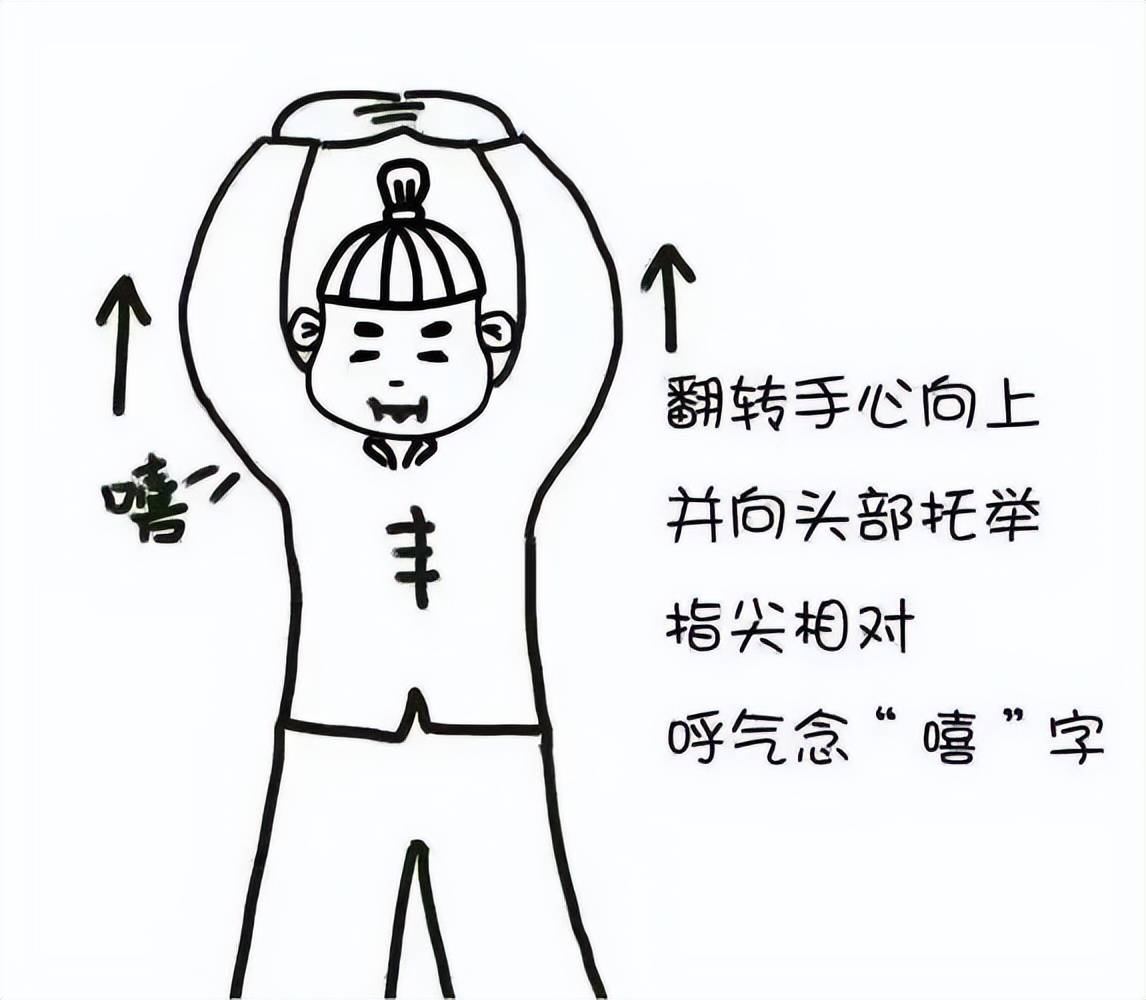 健康养生知识中医_中医健康养生知识_养生中医知识健康讲座