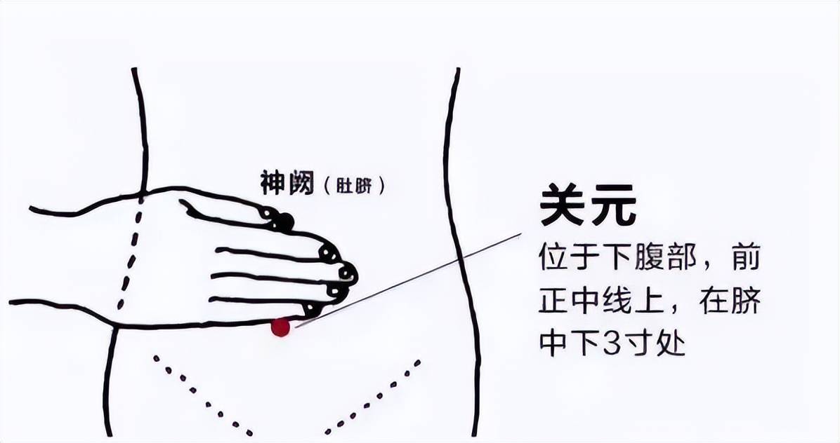 养生中医知识健康讲座_健康养生知识中医_中医健康养生知识