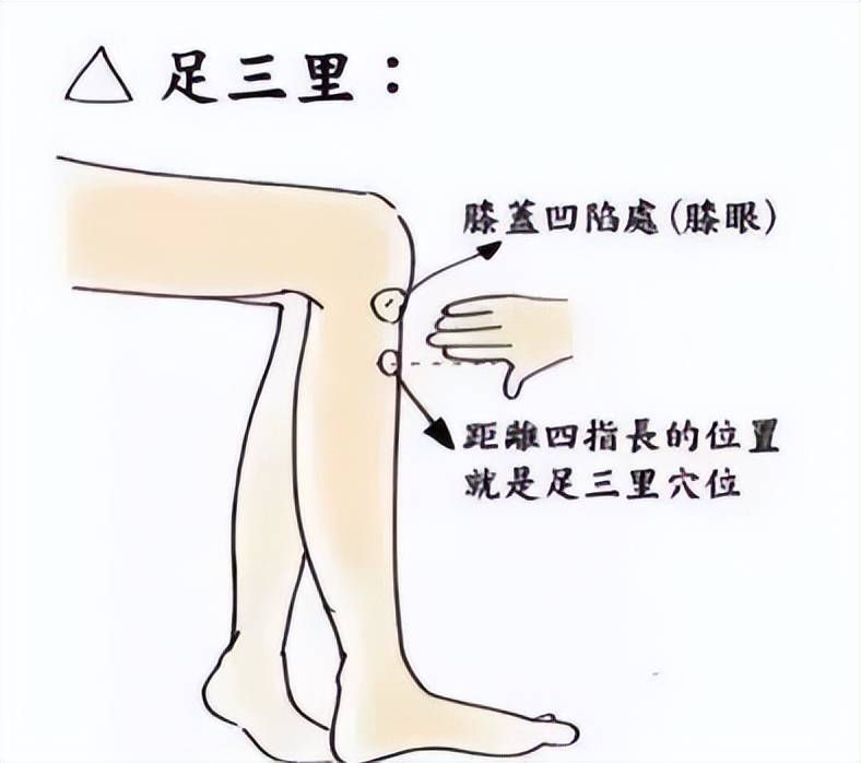 中医健康养生知识_养生中医知识健康讲座_健康养生知识中医