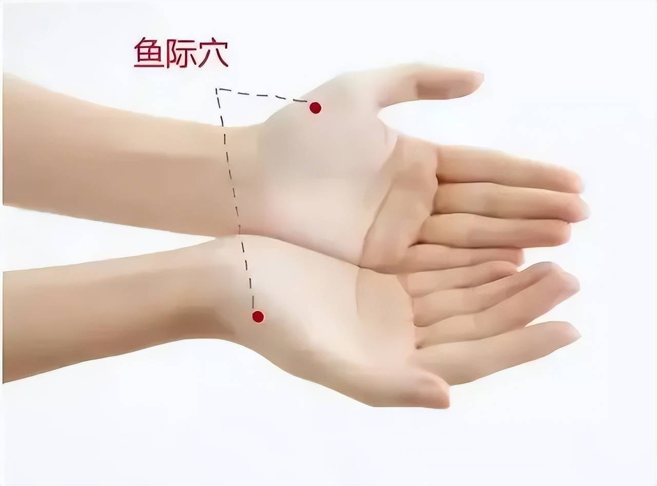 中医健康养生知识_养生中医知识健康讲座_健康养生知识中医