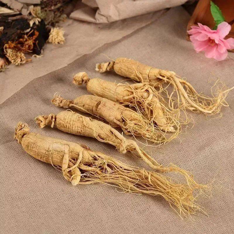 医药健康科普_中医药健康知识_医药健康知识大全