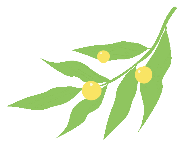 中医药知识进校园_医药知识竞赛宣传标语_医学知识进校园