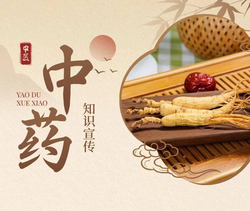 医学知识进校园_医药知识竞赛宣传主题_中医药知识进校园