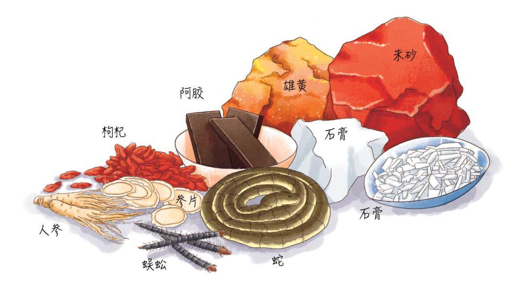中医中药知识大全_中医中草药知识入门_关于中医和中药的知识