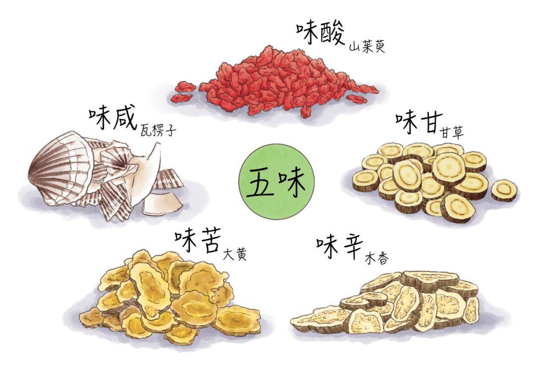 中医中药知识大全_中医中草药知识入门_关于中医和中药的知识