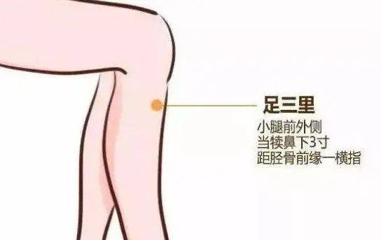春季养生中医知识小常识_中医春季养生知识_春季养生中医知识有哪些