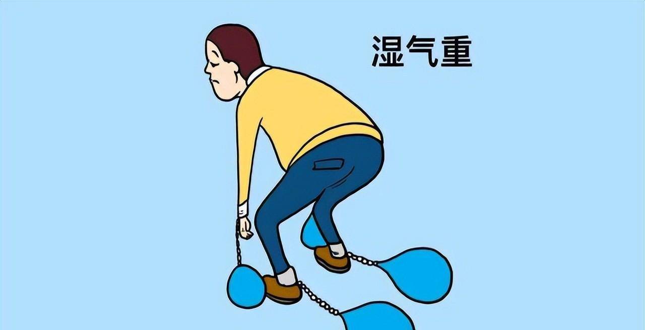 中医祛湿的中药配方_中医配方药祛湿_中医治疗祛湿的中药材大全