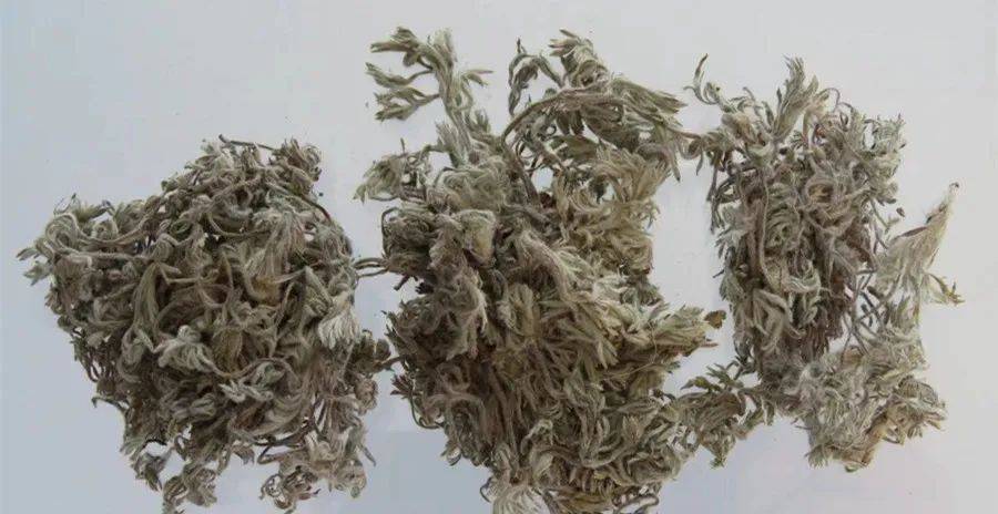 中医14种中药祛湿更有效_中药祛湿效果_中药祛湿的中药