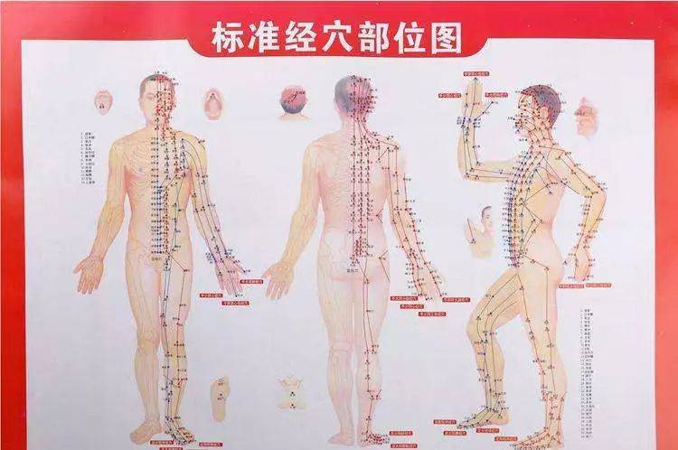中医经络理论主要内容_中医经络学理论_中医经络理论内容主要包括