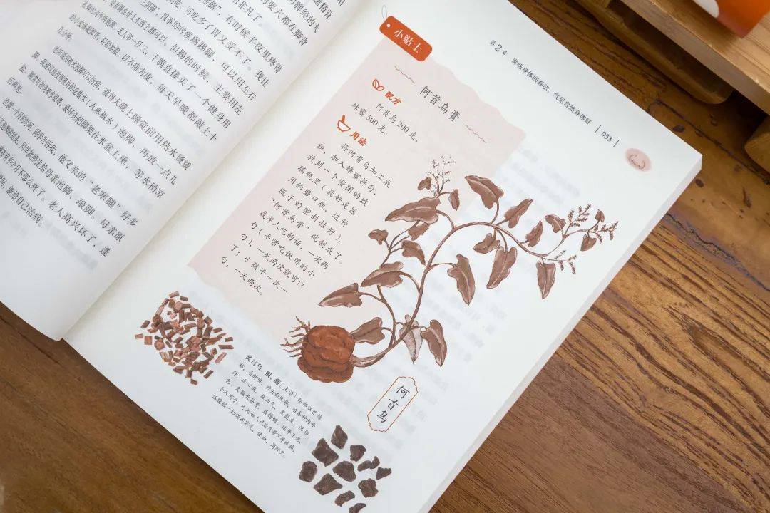 中医秘方网站_中医秘方网_中医秘方网之腰疼经方