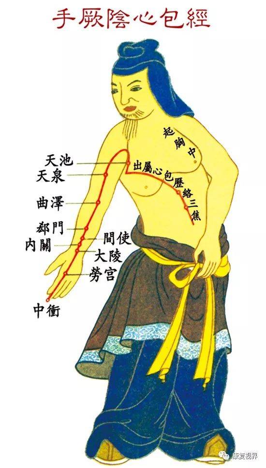 中医足底经络图_中医脚底经络图_脚底经络图对应的器官