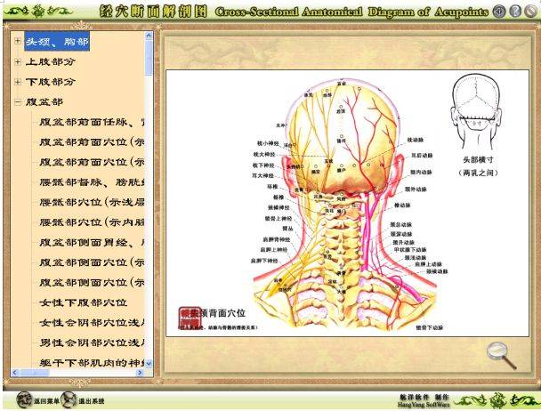 中国古代中医秘方大全_中国中医秘方大全中卷_古代中医名方