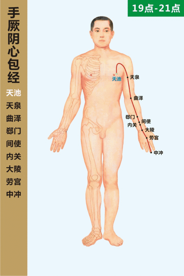 养生中医经络图片大全_中医养生经络疗法_中医养生经络图