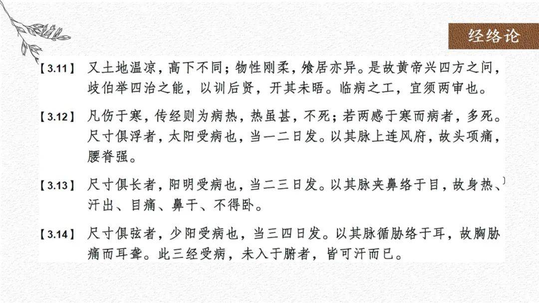 中医讲的经络是血管吗_中医血管_中医的经络和血管有什么关系