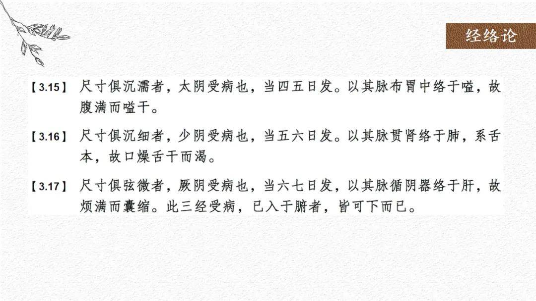 中医的经络和血管有什么关系_中医血管_中医讲的经络是血管吗