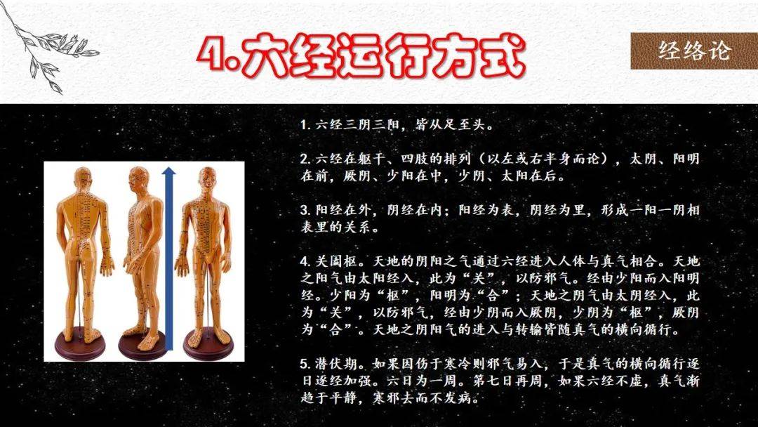 中医血管_中医讲的经络是血管吗_中医的经络和血管有什么关系