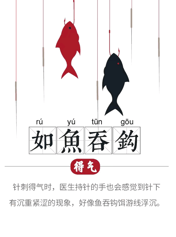 中医图高清图_中医经络图片素材_中医人体经络图高清