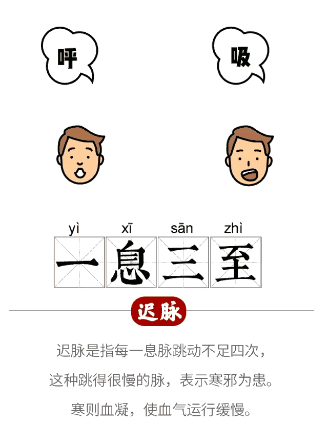 中医经络图片素材_中医人体经络图高清_中医图高清图