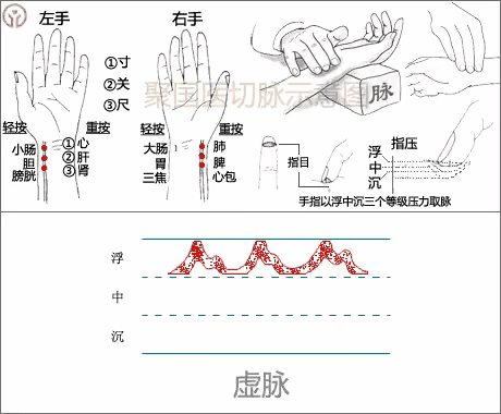 中医经络图片素材_中医图高清图_中医人体经络图高清