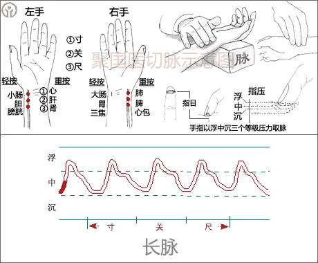 中医图高清图_中医人体经络图高清_中医经络图片素材