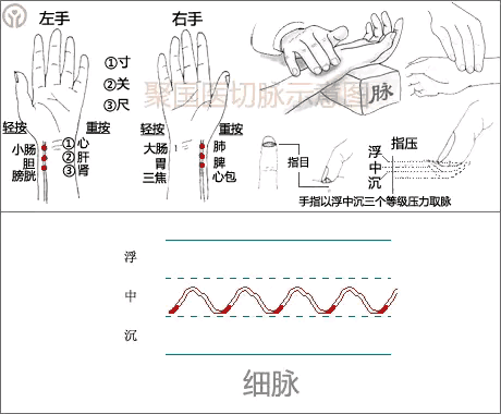 中医经络图片素材_中医人体经络图高清_中医图高清图