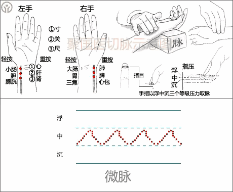 中医图高清图_中医经络图片素材_中医人体经络图高清