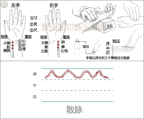 中医图高清图_中医经络图片素材_中医人体经络图高清
