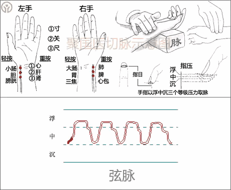 中医图高清图_中医人体经络图高清_中医经络图片素材